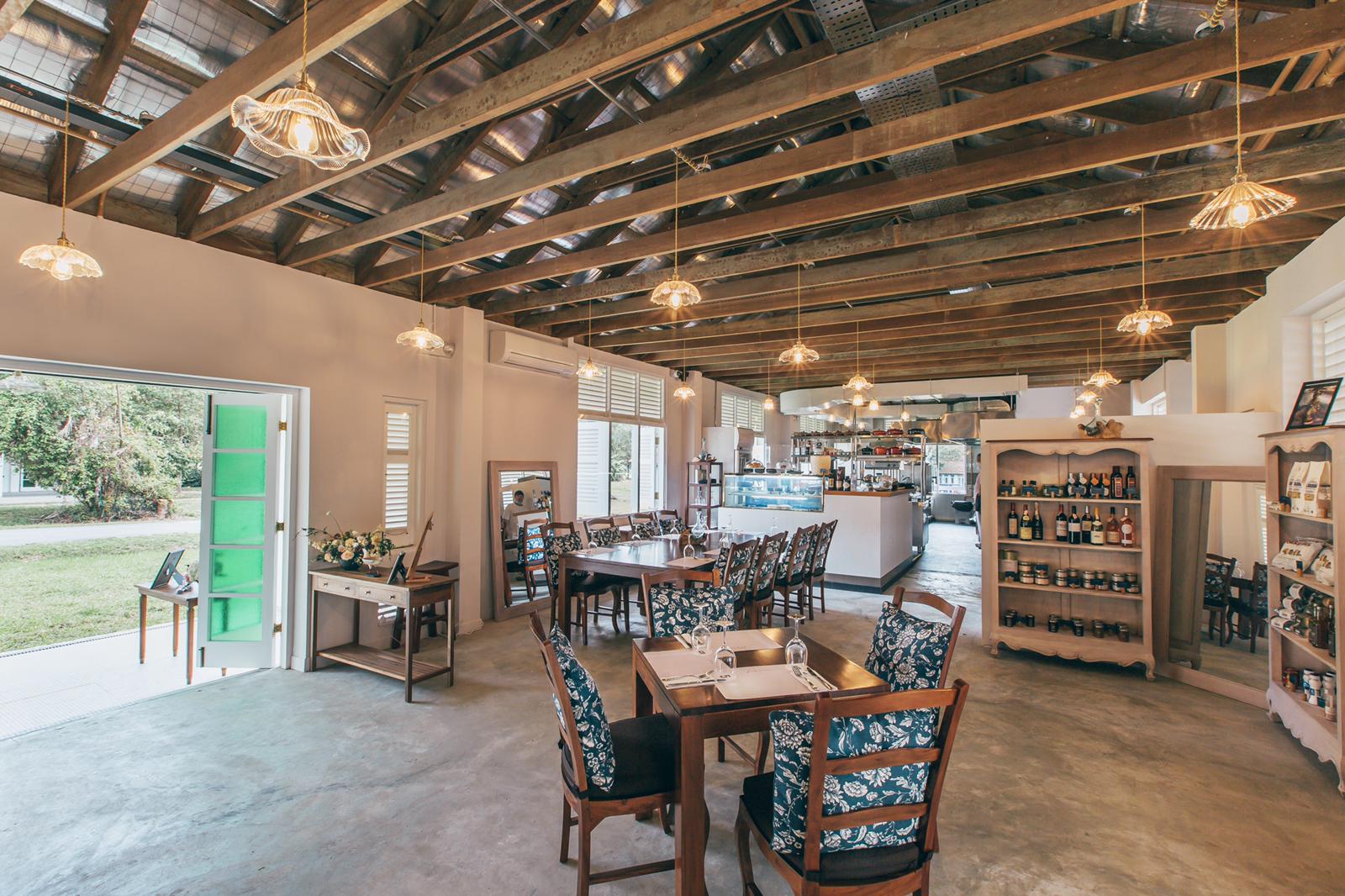 French Provincial Dining Chair with Cushion Mahogany Colour TEK168 CH 000 FP - Image 6